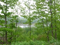 img (305)
